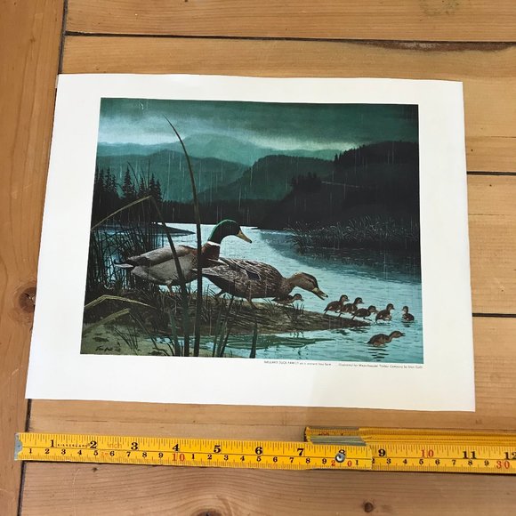 Mallard Duck Family Art Print Stan Galli for Weyerhaeuser Vintage Lake Scene - Picture 2 of 5